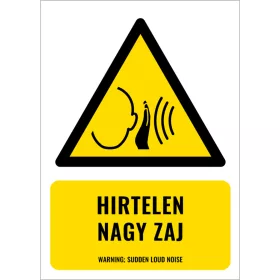 Hirtelen nagy zaj (felirattal)