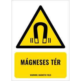 Mágneses tér (felirattal)