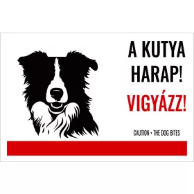 A kutya harap! Vigyázz! (1)
